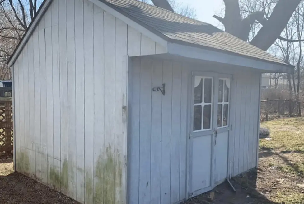 Garden shed with peeling white paint and algae at the base